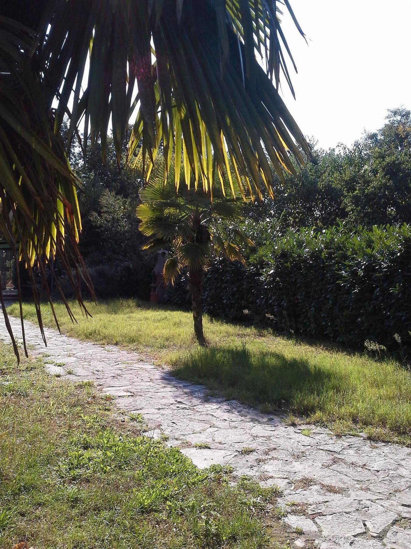 Bed and Breakfast I Giardini Di Capodimonte 2 Nápoles Exterior foto